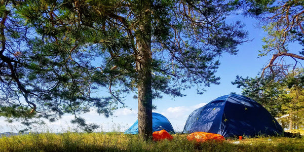 Les avantages d’investir dans un panneau solaire pour votre prochain voyage de camping au printemps