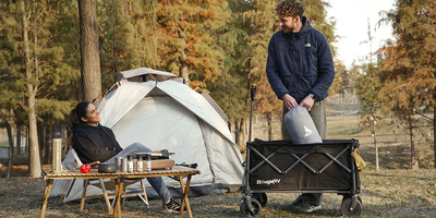 Why Are Electric Wagons Better Than Traditional Wagons?