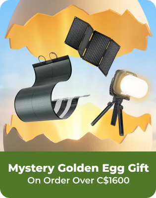 [Free Gifts]BougeRV Mystery Golden Egg Giftt for order over C$1600