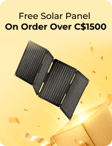 [Free Gifts]BougeRV Gift for order over C$1500